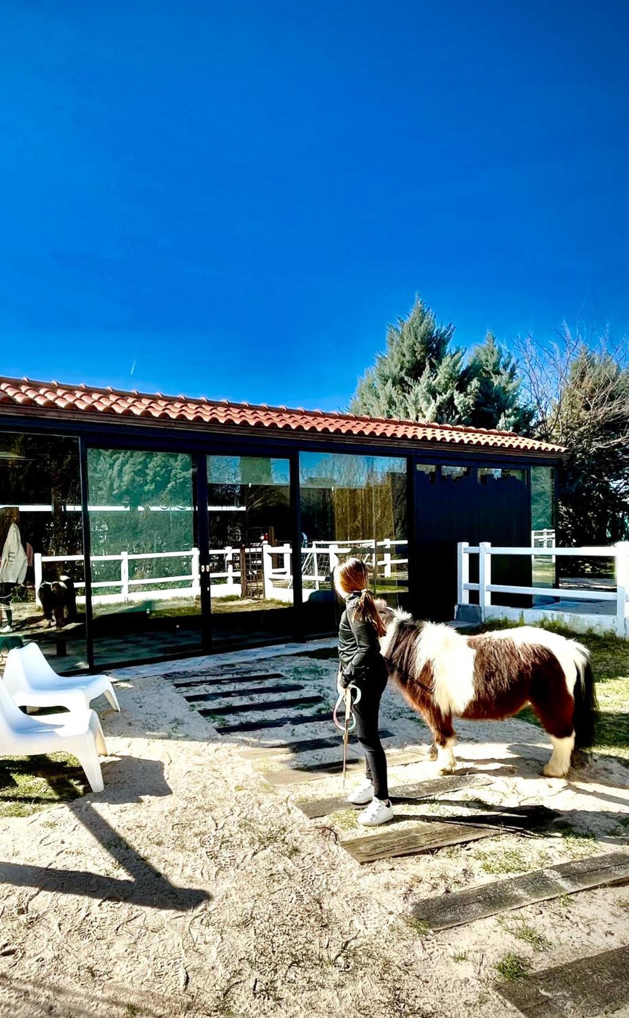 Hearts & Ponies Apartamentos Con Piscinas Privadas Cerca De La Warner Chinchón Eksteriør billede