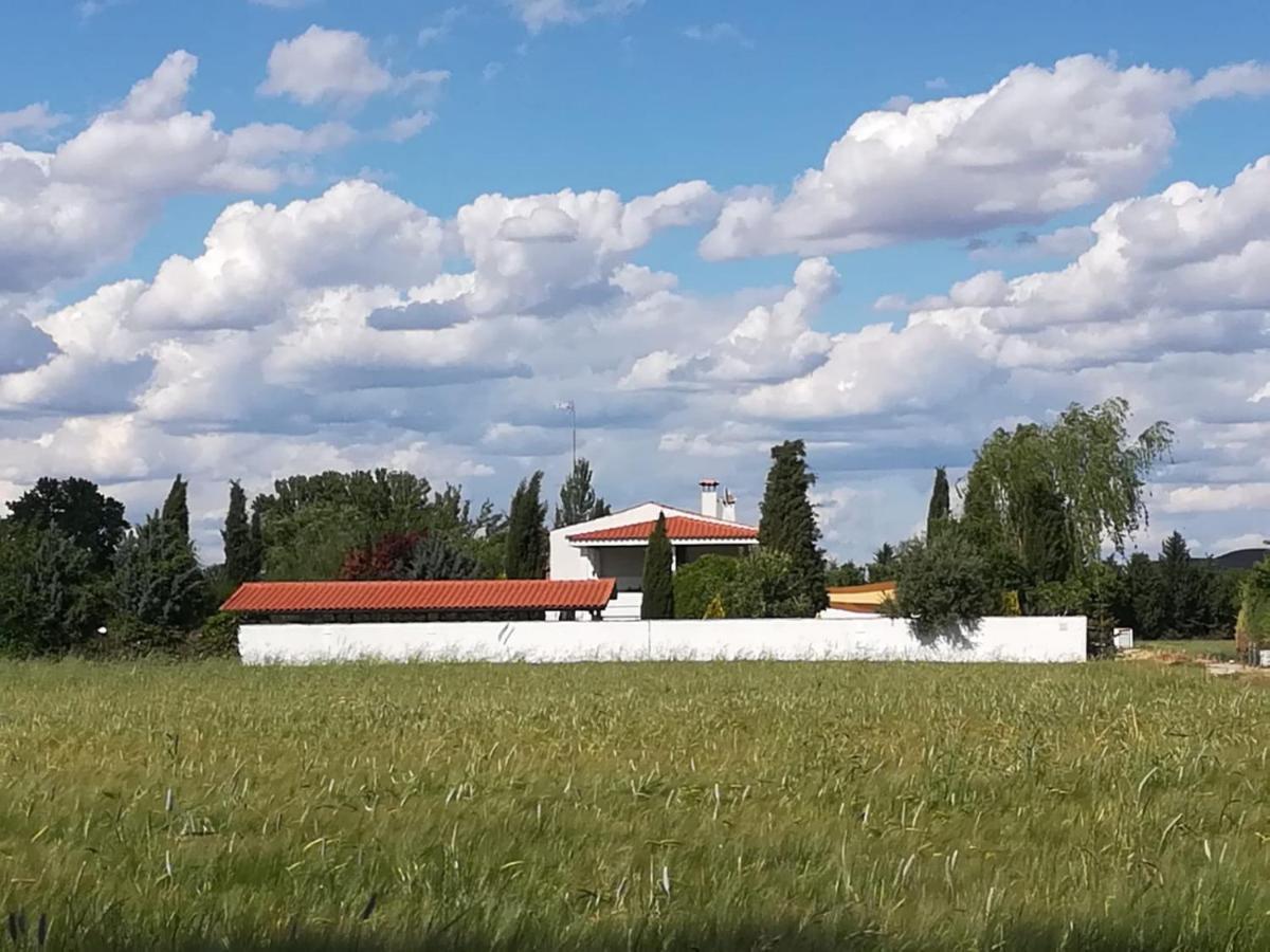 Hearts & Ponies Apartamentos Con Piscinas Privadas Cerca De La Warner Chinchón Eksteriør billede